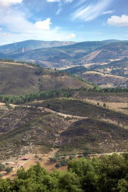 İspanya 'nın güneyindeki Sierra Aracena Ormanı güneşli bir günde