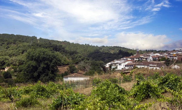 Strada Fuenteheridos Con Case Bianche Nella Sierra Aracena Nel Sud — Foto Stock