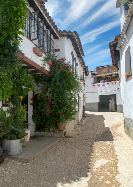 Street Fuenteheridos White Houses Sierra Aracena South Spain Sunny Day — Stock Photo, Image