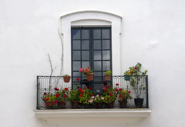 Blommor Väggen Med Fönster Huelva Provinsen Södra Spanien — Stockfoto