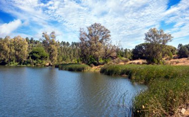 İspanya 'nın güneyinde Huelva Gölü güneşli bir günde