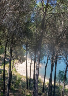İspanya 'nın güneyinde Huelva Gölü güneşli bir günde