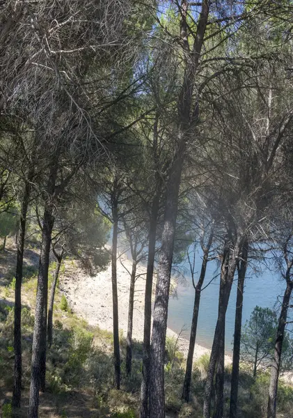 Озеро Провинции Уэльва Юге Испании Солнечный День — стоковое фото