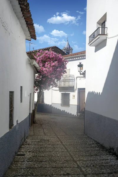 Fuenteheridos Pueblo Provincia Huelva Día Soleado — Foto de Stock