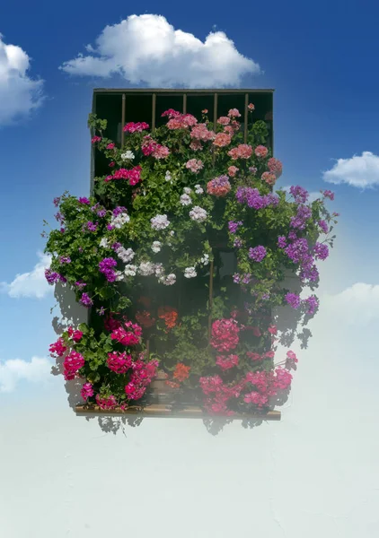 Цветы Окне Стены Белого Дома Провинции Уэльва — стоковое фото