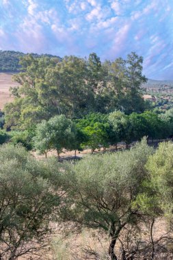 İspanya 'nın güneyindeki Olvera Meadows. La Via verde 'de, Olvera ve Puerto Serrano arasında yer almaktadır.