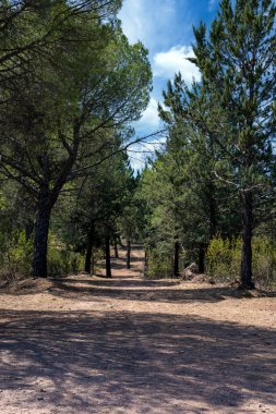 İspanya 'nın güneyindeki Olvera Meadows. La Via verde 'de, Olvera ve Puerto Serrano arasında yer almaktadır.