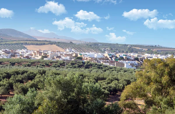 Wiesen Von Olvera Süden Spaniens Liegt Verde Zwischen Olvera Und — Stockfoto