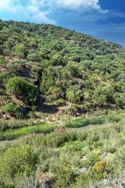 Prairies Olvera Dans Sud Espagne Est Situé Verde Entre Olvera — Photo
