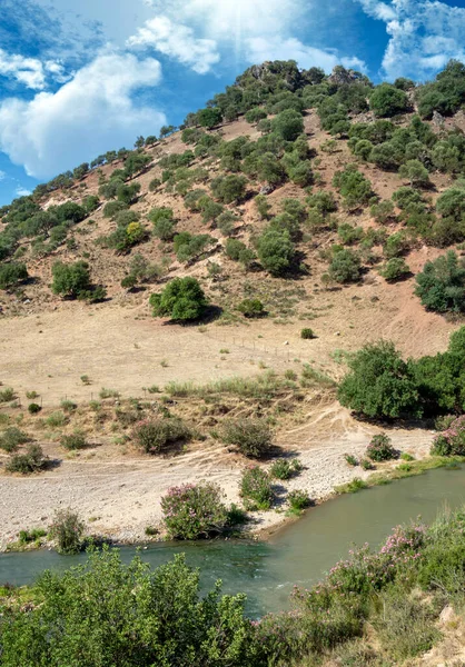 Meadows Olvera Het Zuiden Van Spanje Het Ligt Verde Tussen — Stockfoto