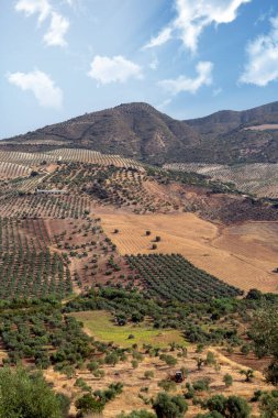 İspanya 'nın güneyindeki Olvera Meadows. La Via verde 'de, Olvera ve Puerto Serrano arasında yer almaktadır.