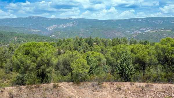 Louky Olvery Jihu Španělska Nachází Verde Mezi Olvera Puerto Serrano — Stock fotografie