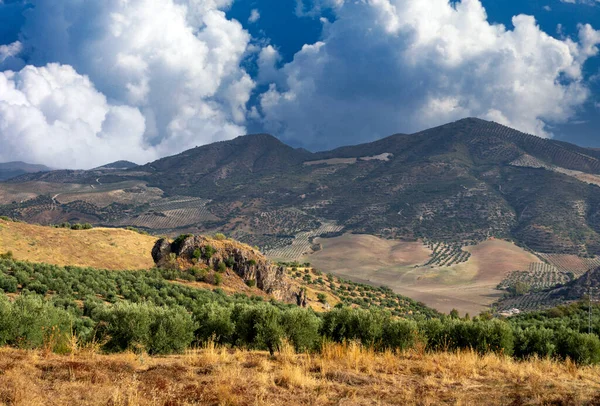 Prairies Olvera Dans Sud Espagne Est Situé Verde Entre Olvera — Photo