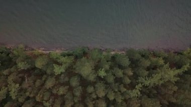 İnsansız hava aracı yeşil orman ve mavi su üzerinde bir dağ gölünün kıyısında uçuyor.