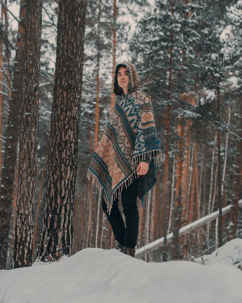 Hint pançolu genç adam karlı kış ormanlarında yürüyor.