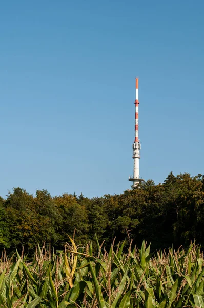 Rádiový Stožár Tyčící Nad Lesními Stromy Venkovské Krajině — Stock fotografie