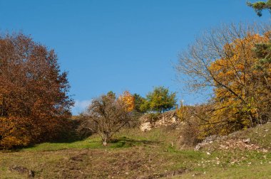 Almanya 'daki Swabian Alb' inde kireç taşı taşlarıyla dolu bir tepede sonbahar.