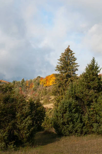 Ett Landskap Höst Löv Färger Schwabiska Alb Tyskland — Stockfoto