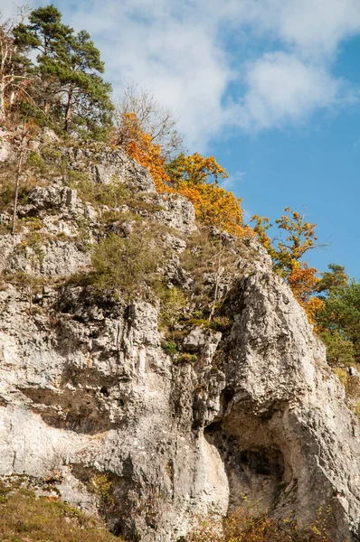 Eine Mit Bäumen Und Sträuchern Bewachsene Felswand Aus Jurakalk Auf — Stockfoto