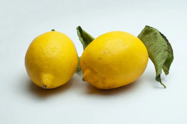 Dwa Dojrzałe Organiczne Owoce Cytryny Łodygami Liśćmi Białym Tle — Zdjęcie stockowe