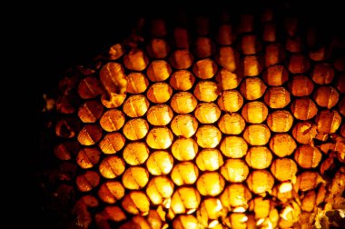 Altıgen şekilli altın renkli bal tarakları, arka planda makrofotoğrafçılık