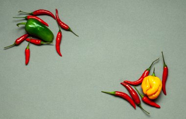 Gri arka planda farklı renklerde kırmızı biber var.