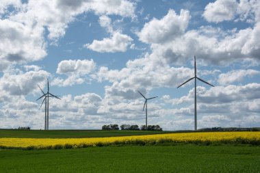 Sürdürülebilir enerji için kolza tohumu tarlası ve rüzgar değirmenleri olan Swabian alb ovası.