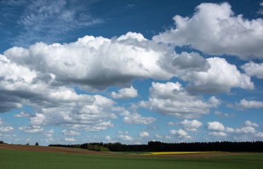 İlkbaharda kırsal bir arazide beyaz bulutlu mavi gökyüzü ve kolza tohumu tarlası.