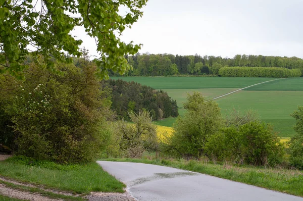 Eine Nasse Einspurige Straße Einer Hügeligen Ländlichen Landschaft Einem Regnerischen — Stockfoto