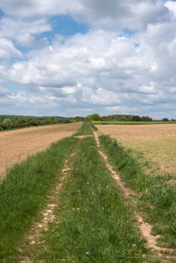blue sky with white clouds over a rural landscape in springtime