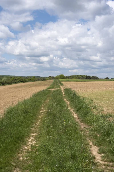 blue sky with white clouds over a rural landscape in springtime