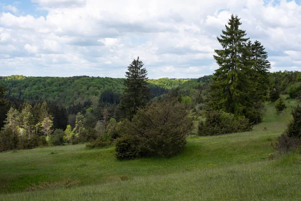 Eine Heide Auf Der Schwäbischen Alb Mit Wacholderbüschen Und Mischwäldern — Stockfoto