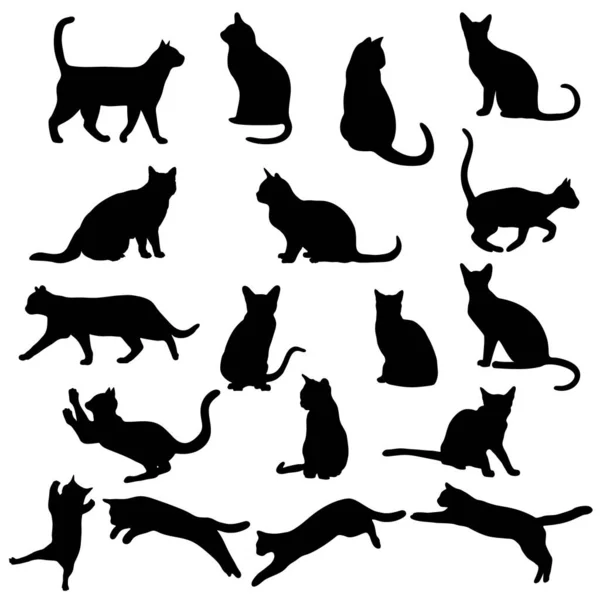 Chat Isolé Sur Fond Blanc Chats Dans Différentes Poses — Image vectorielle