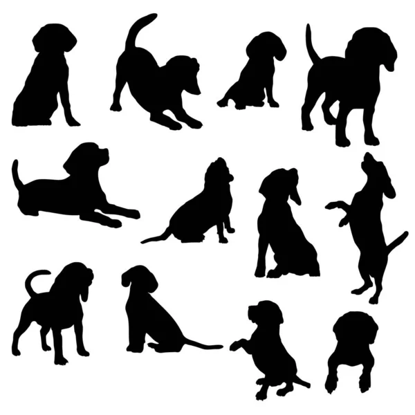 Silhouette Action Beagles Isolée Sur Ensemble Blanc — Image vectorielle