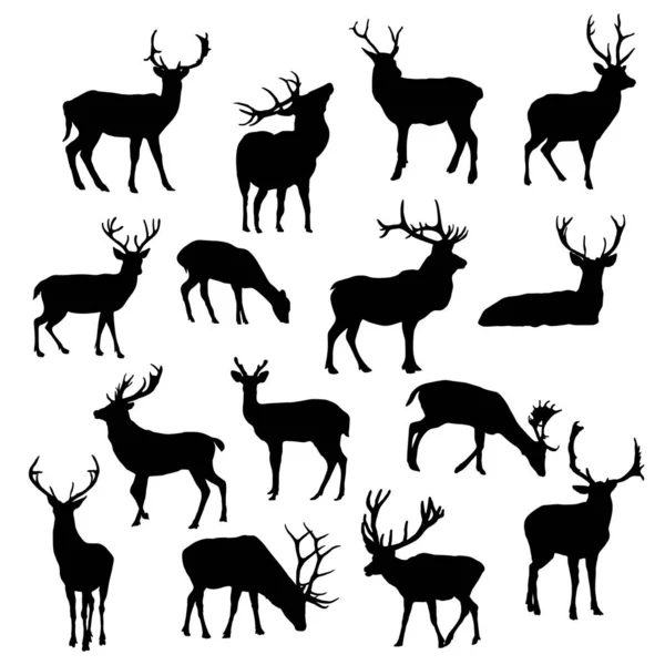 Cerfs Beaux Cerfs Stylisés Dessin Animé Sur Fond Blanc — Image vectorielle