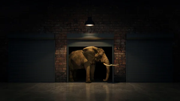 Elefante na porta do armazém. Conceito criativo. Renderização 3D — Fotografia de Stock