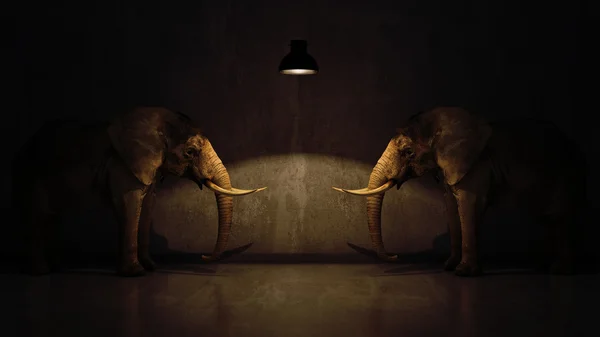 Elefante en la habitación cerca de la pared. Concepto creativo. renderizado 3d — Foto de Stock