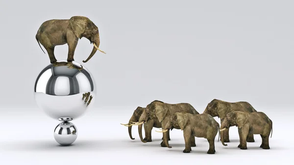 Elefante e bola. Renderização 3D — Fotografia de Stock
