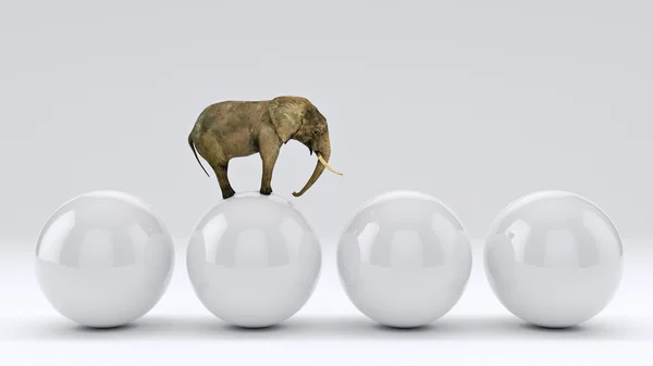 Слон и мяч. 3D рендеринг — стоковое фото