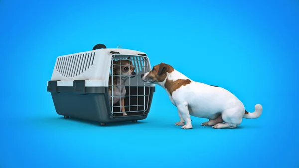 the container for transportation of animals with a small doggie. 3d rendering