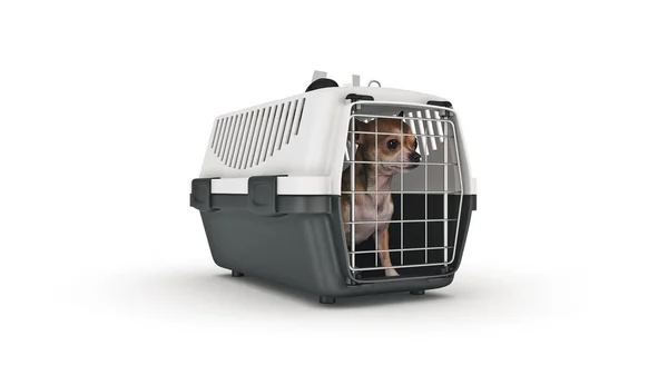 Container Für Den Transport Von Tieren Mit Einem Kleinen Hund — Stockfoto