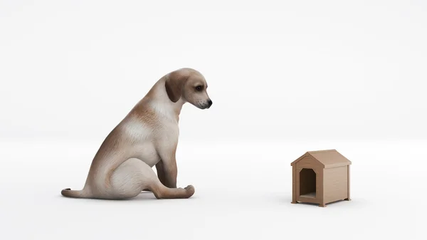 Wooden dog's house. concept size dog's house — Stock Photo, Image