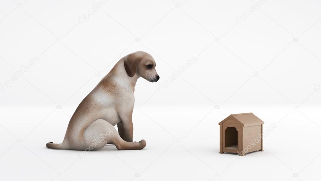 wooden dog's house. concept size dog's house