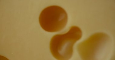 Orta boy sert peynirli Edam gouda parmesan peynirinin bir kısmını ahşap tahtada, fındık ve üzümler tabakta dönüyor..
