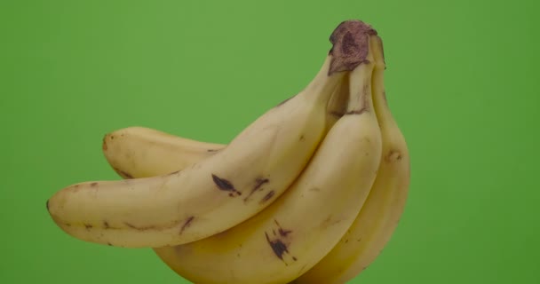 Спелый желтый банан вращается висящий на зеленом фоне, изолированный. — стоковое видео