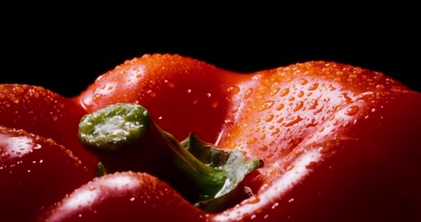 Natte rode paprika draait op zwarte achtergrond. Blauwe wijting. — Stockvideo