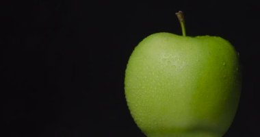 Yeşil ıslak elma, koyu bir arka planda asılı duruyor, izole..