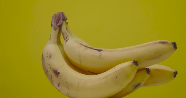 Banane jaune mûre tourne suspendue sur un fond jaune, isolé. — Video