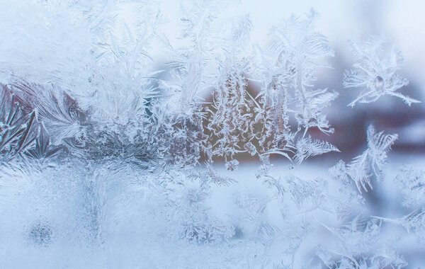 Frosty pattern on the window