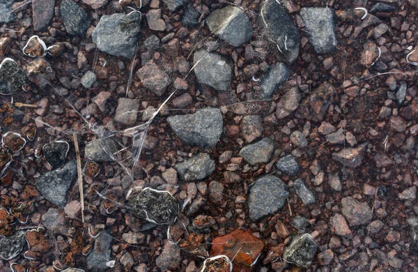 Текстура Камней Льдом — стоковое фото